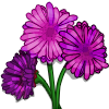 Pink_Daisies-icon.png image by devourx